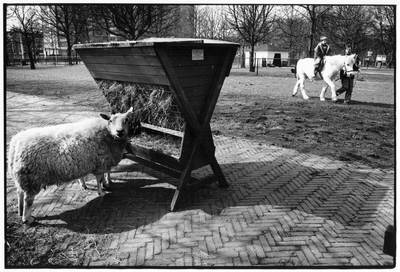 351273 Gezicht op het terrein van de stadsboerderij in het park Transwijk te Utrecht.